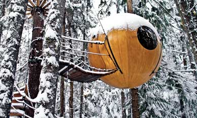 
An elegant spherical treehouse.
